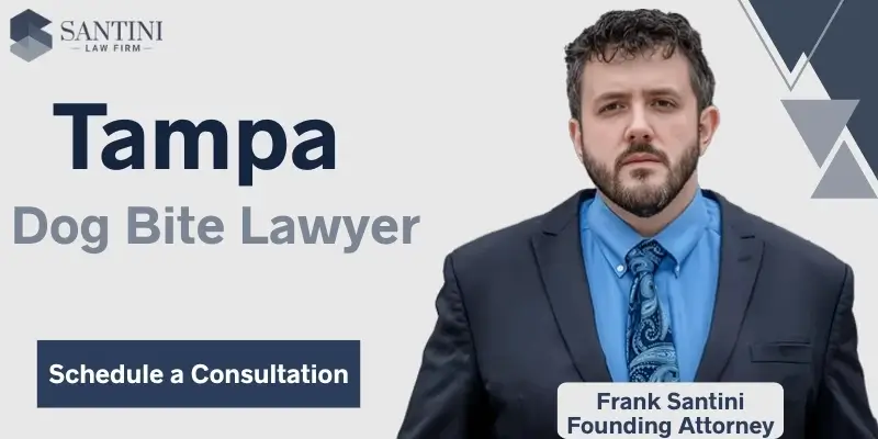 Best Dog Bite Lawyer In Tampa